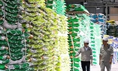 Bỏ tiền kiểm phân bón nhập khẩu, cần phải xây dựng hệ thống hậu kiểm đủ mạnh