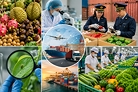 Hàng loạt thị trường siết rào cản SPS với nông sản Việt Nam