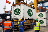Làm gì để tránh đứt gãy chuỗi Halal?