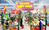 Biến lợi thế của thị trường nội địa thành động lực thúc đẩy xuất khẩu