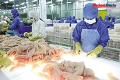 Doanh nghiệp vẫn ngóng chờ được gỡ điểm nghẽn