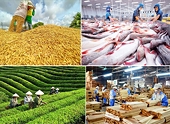 Đi tìm lời giải cho bài toán xuất khẩu nông, lâm, thủy sản đạt 100 tỷ USD