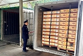 Danh sách cảnh báo các mặt hàng có nguy cơ bị điều tra phòng vệ thương mại, gian lận xuất xứ, chuyển tải bất hợp pháp
