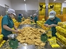 Chế biến sâu giúp nâng giá trị nông sản, thực phẩm xuất khẩu