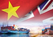 Đưa thương hiệu Việt tiến sâu vào thị trường Anh