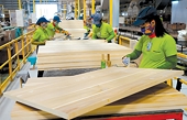 Xuất khẩu gỗ giữ vững vị thế dẫn đầu ASEAN nhờ đa dạng hóa thị trường