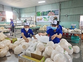 Xuất khẩu nông sản: Cuộc đua giờ không chỉ nằm ở sản lượng