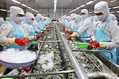 Doanh nghiệp thủy sản tăng tốc xuất khẩu nửa cuối năm