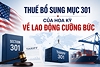 [VCCI] Hoa Kỳ chính thức áp thuế bổ sung lên 60 nền kinh tế theo Điều tra 301 về lao động cưỡng bức