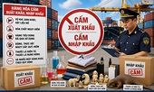 Xác lập chuẩn mực mới cho hoạt động xuất nhập khẩu