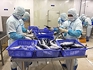Xuất khẩu sang Israel chú ý quy định mới