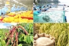 Hành động quyết liệt để đưa xuất khẩu nông, lâm, thủy sản vượt mốc 74 tỷ USD