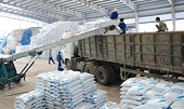 Mỹ thúc đẩy xuất khẩu phân bón sinh học sang Việt Nam