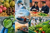Doanh nghiệp cần chủ động thích ứng trước quy định SPS mới