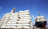 Giá gạo Việt Nam đi ngược xu hướng với các nước xuất khẩu lớn