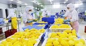 Chế biến sâu mở dư địa xuất khẩu rau quả