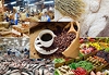 Italia siết quy trình SPS đối với nông sản, thực phẩm và thủy sản Việt Nam