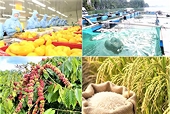 Việt Nam đón lượng đơn hàng xuất khẩu kỷ lục