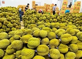 Thúc đẩy trao đổi thương mại nông sản Việt Nam - Ấn Độ
