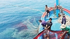 Gỡ “thẻ vàng” IUU, phát triển nghề cá bền vững: Cần thực thi quyết liệt từ cơ sở