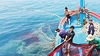 Gỡ “thẻ vàng” IUU, phát triển nghề cá bền vững: Cần thực thi quyết liệt từ cơ sở