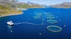 Cửa 'sáng' xuất khẩu thủy sản Việt Nam sang Na Uy