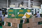 Xuất khẩu sang Italia đối diện quy định mới về bao bì