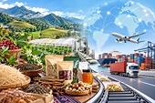 Làm gì để đặc sản vùng cao vươn ra thế giới