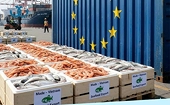 Làn sóng bảo hộ mới từ EU