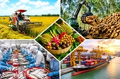 Xuất khẩu nông, lâm, thủy sản được kỳ vọng tiếp tục đà tăng trưởng trong quý IV