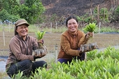Khoa học công nghệ tạo động lực mới cho xuất khẩu nông sản