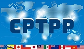 Tối ưu hoá lợi thế CPTPP cho xuất khẩu Việt Nam trước biến động thương mại toàn cầu