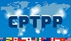 Tối ưu hoá lợi thế CPTPP cho xuất khẩu Việt Nam trước biến động thương mại toàn cầu