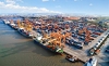 Thủ tục nhập khẩu vào EU sẽ ngày càng dựa vào dữ liệu và khả năng truy xuất chuỗi cung ứng